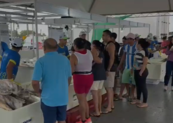 Programa Peixe Popular inicia com cerca de 170 toneladas levando peixe mais barato que beneficia milhares de famílias no período da Semana Santa no Amapá