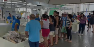 Programa Peixe Popular inicia com cerca de 170 toneladas levando peixe mais barato que beneficia milhares de famílias no período da Semana Santa no Amapá