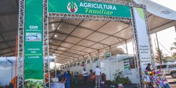Expofeira 2026 movimenta R$ 1,4 milhão com agricultura familiar e comercialização de animais